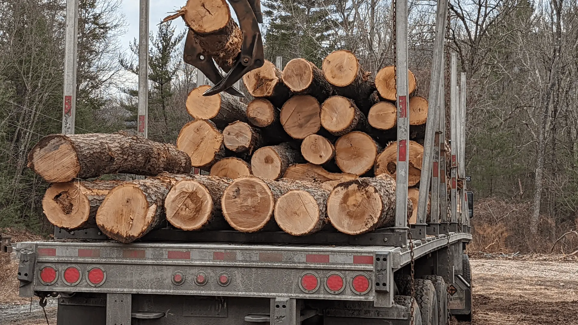 Logs on a truck.