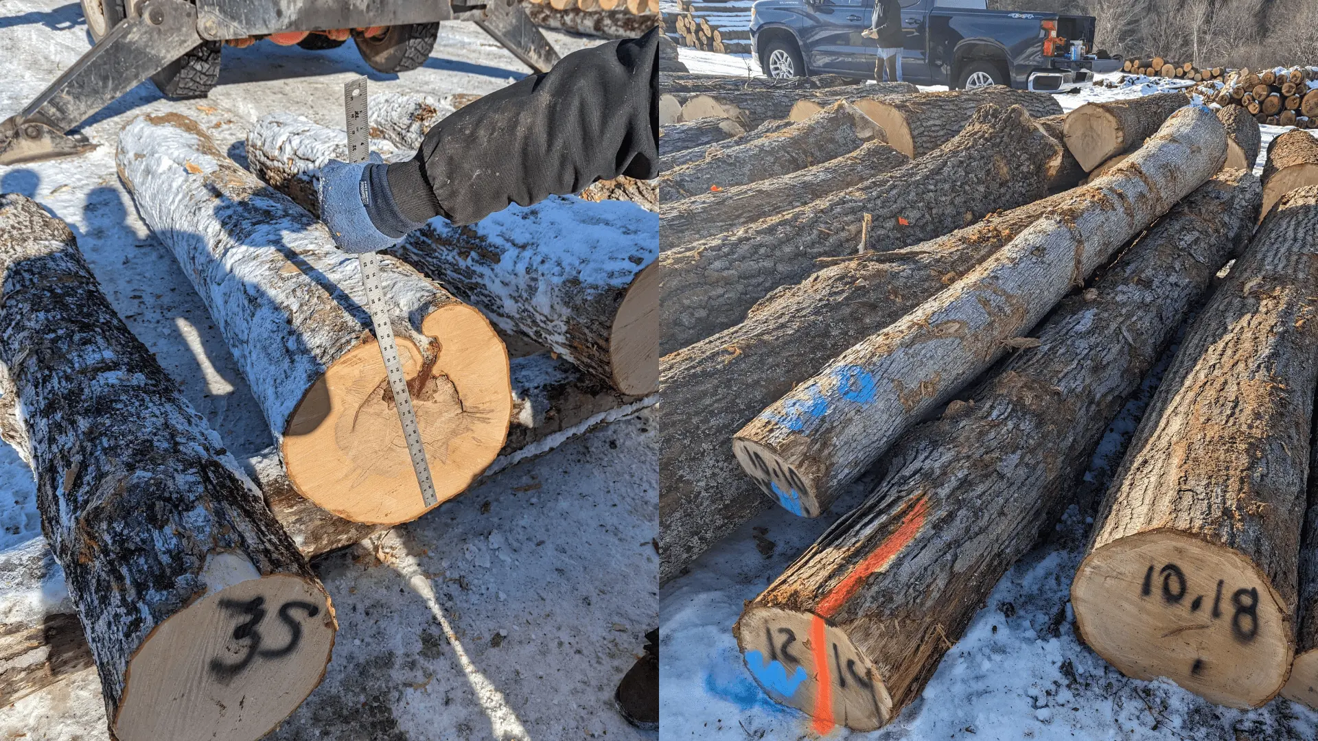 Logs at a lumber yard.
